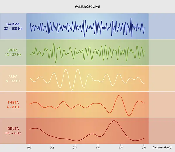 Frekwencja fali mózgowych określona w Hz
